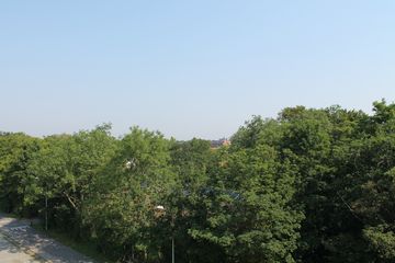 IMG 4585
