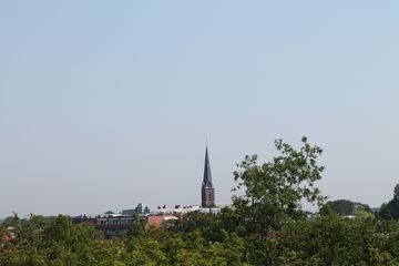 IMG 4591