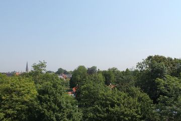 IMG 4592