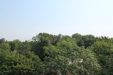 IMG 4593