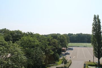 IMG 4595