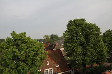 RES-IMG 8810