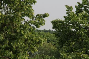 RES-IMG 8812