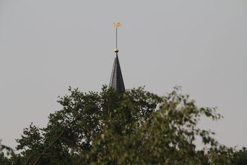 RES-IMG 8828
