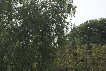 RES-IMG 8830