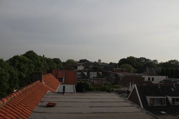 RES-IMG 8833