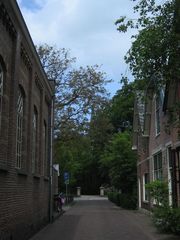 IMG 4145
