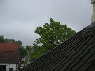 OudeRaadhuisWarmond01