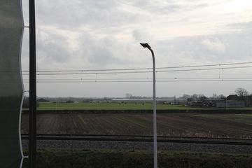 RES-IMG 1230