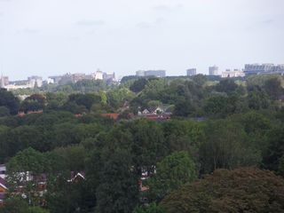 sintjanonthoofdingkerk survey2012 39