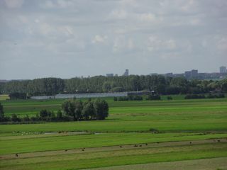 sintjanonthoofdingkerk survey2012 50