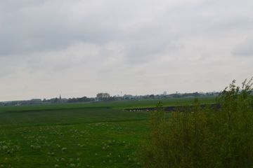 DSC 6928
