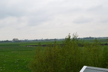 DSC 6929