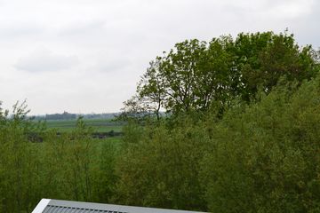 DSC 6930
