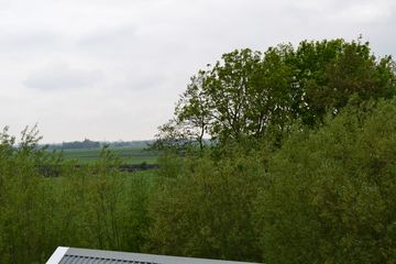 DSC 6931