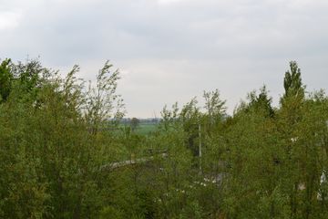 DSC 6932