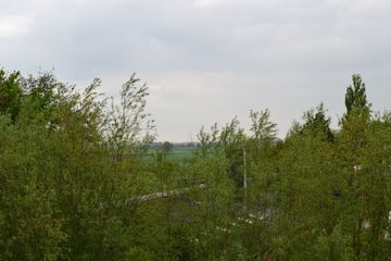 DSC 6933