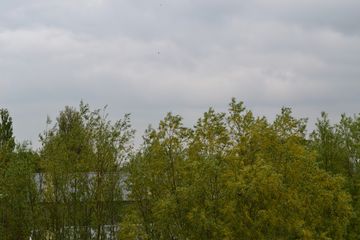 DSC 6934