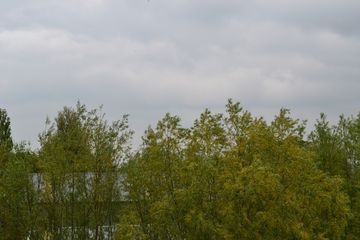 DSC 6935