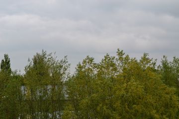 DSC 6936