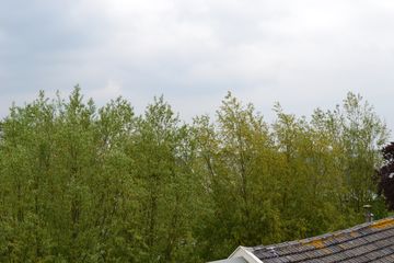 DSC 6937