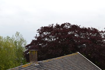 DSC 6938