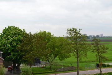 DSC 6943