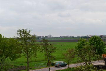 DSC 6944