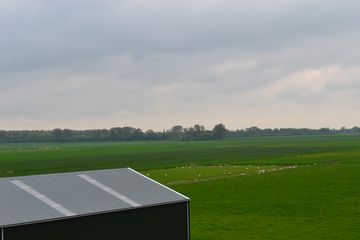 DSC 6950