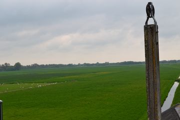 DSC 6951