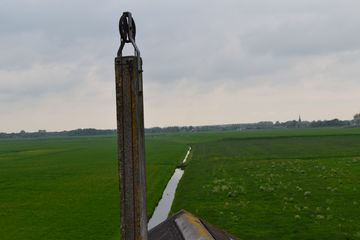 DSC 6952