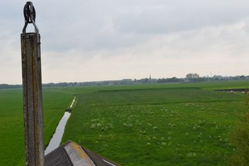 DSC 6953