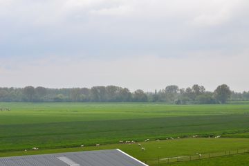 DSC 6961