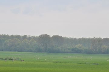 DSC 6963