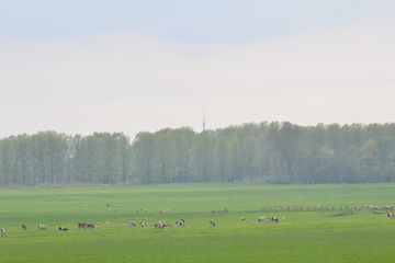 DSC 6964