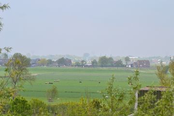 DSC 6966