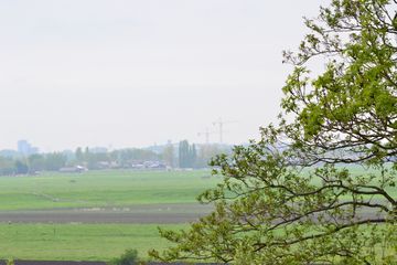DSC 6968