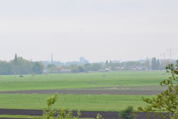 DSC 6969