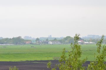 DSC 6972