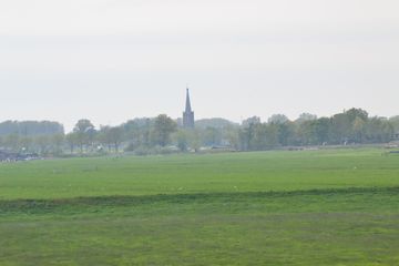 DSC 6974