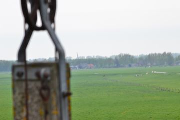 DSC 6975