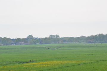 DSC 6976