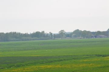 DSC 6977