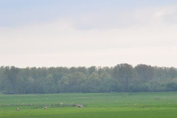 DSC 6979
