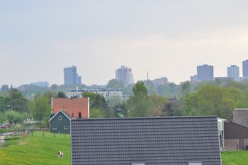 DSC 6981