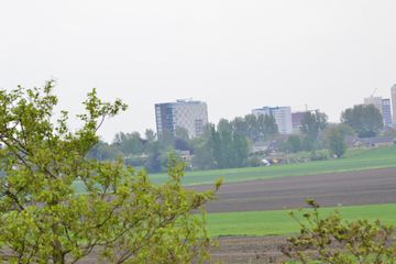 DSC 6985