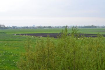 DSC 7003