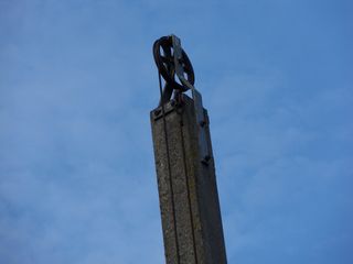 SDC11853