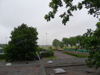 SDC16245