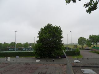 SDC16246